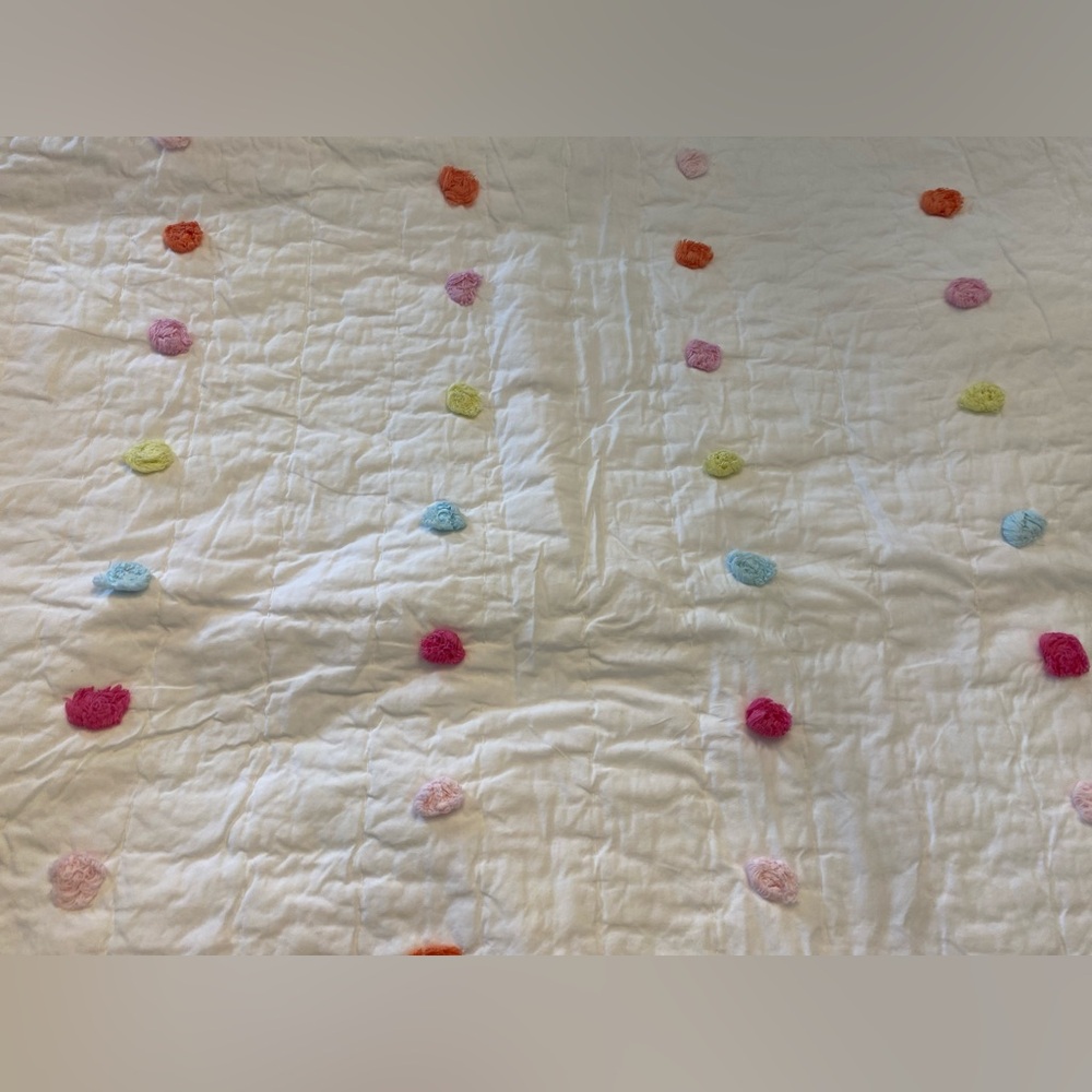 Twin Pottery Barn Kids Quilt and Sham